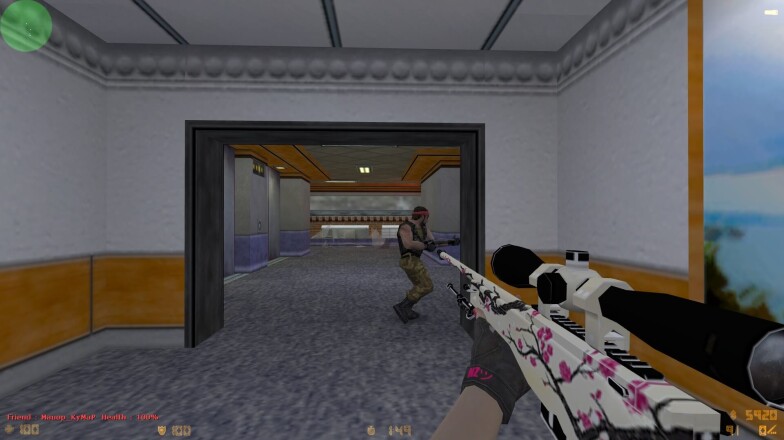 Download CS 1.6 with Skins by VxB