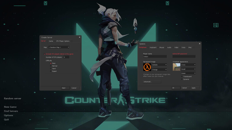 Window styles in Counter Strike 1.6