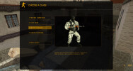 Player team selection