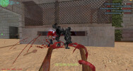 One of the versions of zombie mod