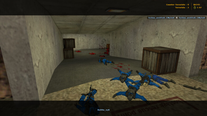 CT Team Skins