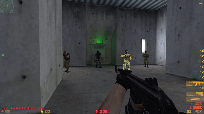 Team T and black ak47