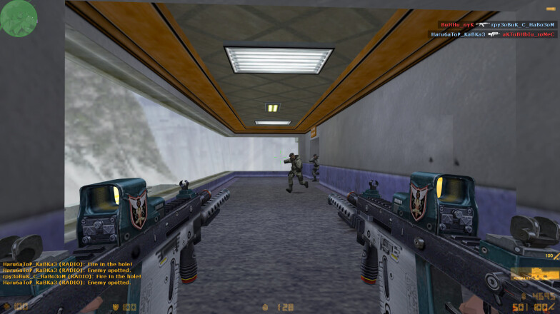 2 weapon in CS 1.6 Anime
