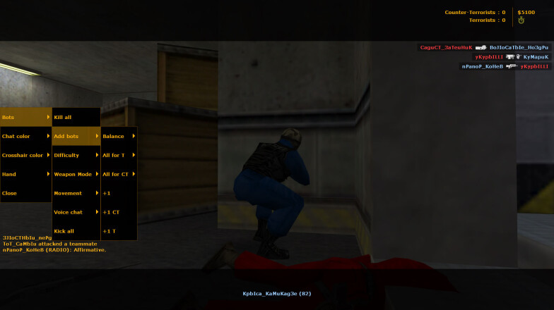 Bot setting in cs