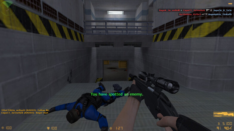 AWP and blue skins