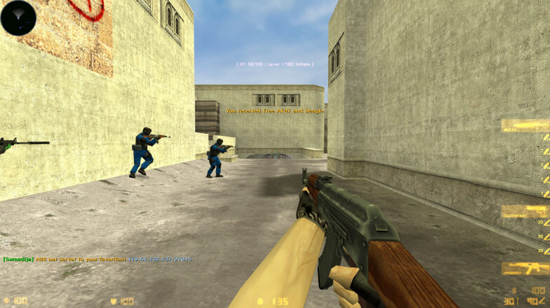AK-47 and blue team CT