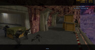 The gameplay