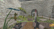 Knife and team T