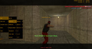 Counter-Strike Bot Controls
