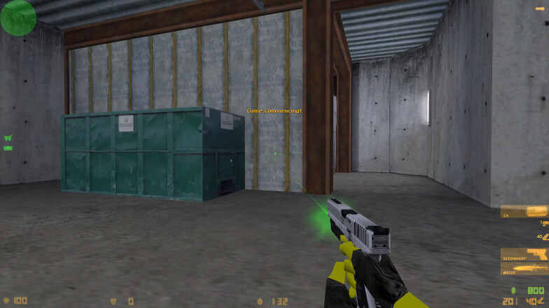 Pistol