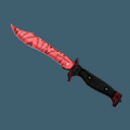 Bowie Knife