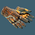 Sport Gloves