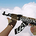 With Standard Model Skins