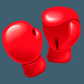Other Gloves